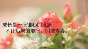 适合发朋友圈的句子家人陪伴,陪伴家人的幸福感悟短句？