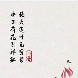 有红尘的句子唯美短句,美到心痛的红尘过客的唯美句子？