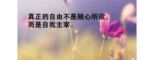 女人的心情句子短句,适合女人所有心情的句子句句戳心？