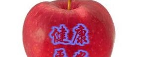 新年祝福家人2021健康平安的短句,2021祝福家人平安健康的句子？ ...