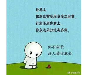 懂得谦让的句子,关于礼让的排比句？