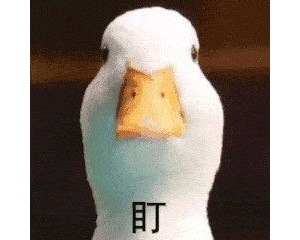 描写捉鸭子动作的句子,描写人们河中比赛捉鸭子场景？
