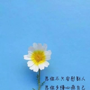 读书日的短句子,关于读书的文案神仙句子？