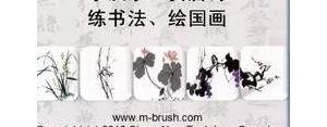 表达绝望的英语句子,表示绝望的句子英文？