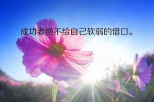 创业努力的句子,创业励志的句子苦尽甘来？