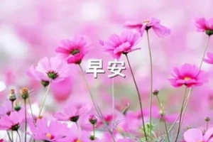 天气晴朗的早晨说说短句,早晨的天空唯美句子？