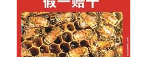 赞美纯天然蜂蜜的句子,蜂蜜抖音文案？