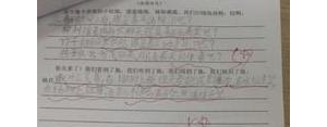 描写春天到来的句子,一年级上册春天仿写句子？