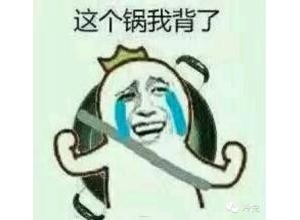 队友不会玩的句子,形容自己不会还教别人做的语句？