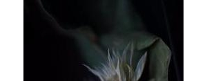关于阿谀奉承的句子,古代阿谀奉承的句子？