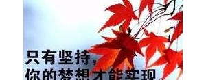 有能量的女人的句子,女人正能量发圈吸引人的句子？