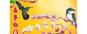 花喜鹊发朋友圈的句子,描述喜鹊的吉祥语？