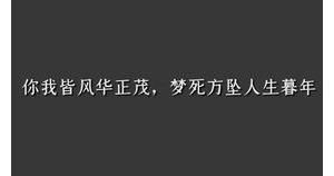 我怂了短句,又狠又怂的句子？