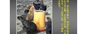幽默又富有哲理的句子,人性幽默哲理句子？