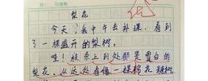 描写细心的句子10字,细节描写的句子60字左右？
