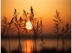 一个人看夕阳的句子,隔车玻璃欣赏夕阳的说说？