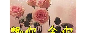 爱依旧的句子,爱依然存在的句子？