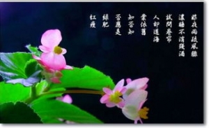 看到鲜花心情好的句子,形容水果丰收的唯美的句子？