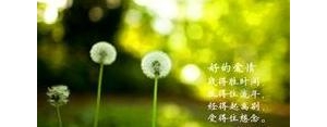 描写春天乡村田野的优美句子,描写春天田野的优美句子排比句？ ...