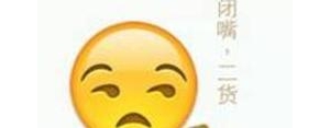 蠢货造短句子,形容蠢货的句子？