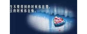 坚毅的短语,关于坚毅的八字短语？