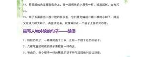 写人物的简短句子加赏析,人物描写句子50字带赏析？