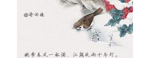 描述时间快的古文句子,表示时间过得快的文言文？