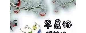 温馨问候早上好的句子,早上好祝福语暖心句子？