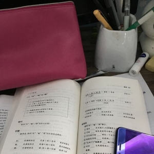 有名词的句子,形容词加名词的句子？