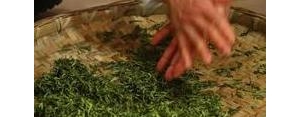 发茶叶的句子,茶叶发朋友圈秒赞的句子？