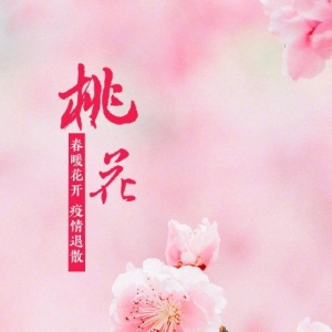 幼儿春天短语,春天儿童文案短句干净？