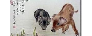 羡慕猪的句子,赞美猪的句子有哪些？