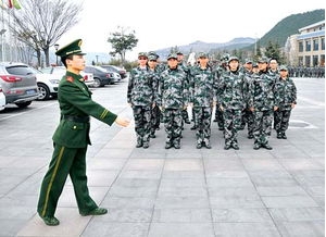 关于军人走路的句子,描写军人齐步走的句子？