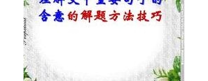 理解文中重要句子的含义,怎样理解加点字含义、表达效果？