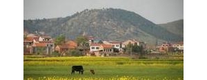 关于乡村风景的句子,赞美农村风景的句子？