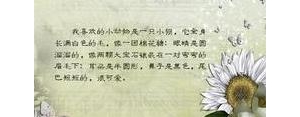 喜欢动物的句子,仿写喜欢小动物句子？