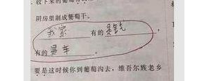用得直写短语,什么的直什么造句二年级？