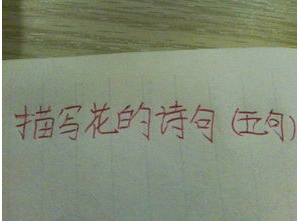 描写花的句子段落,描写花的优美段落具有寓意？