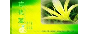 忘忧草的唯美短句,描写忘忧草的句子短一点的？