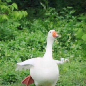 搞笑句子,为枯燥的朋友圈,添加一份乐趣的意思,搞笑句子，为枯燥的朋友圈，添加一份乐 ...