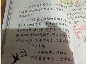 谷的句子,描写太行谷的优美段落？
