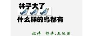 形容鸟生的多的句子,林子大了什么鸟都有的朋友圈说说？