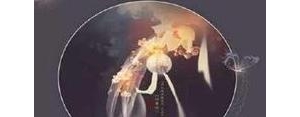 虞美人景物人事对比的句子,虞美人中今昔对比，抒发物是人非的无限感慨？ ...