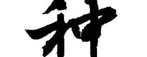 种的短语,种的多音词？