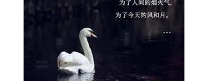 正能量快乐文案短句干净,开心每一天的正能量句子？