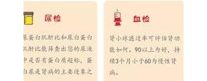 肾脏小常识短句,关于保护肾脏的宣传标语？