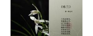 关于兰的古诗句子,以兰为意象的诗句？