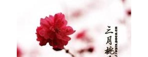 桃花的唯美说说短句,盛世桃花唯美句子？