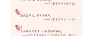 拍桃花的句子,描写在桃花源拍照的句子？