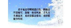 形容梨花的优美句子,描写梨花开的优美句子？